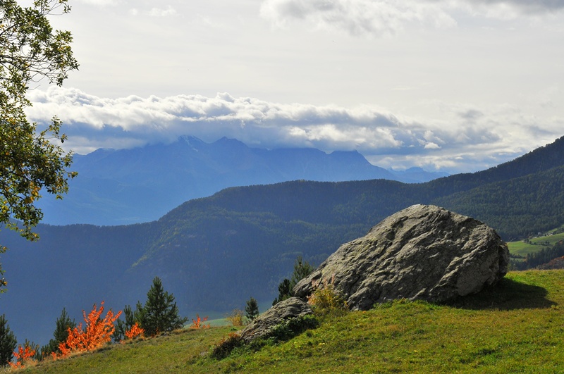 DSC_5869.JPG