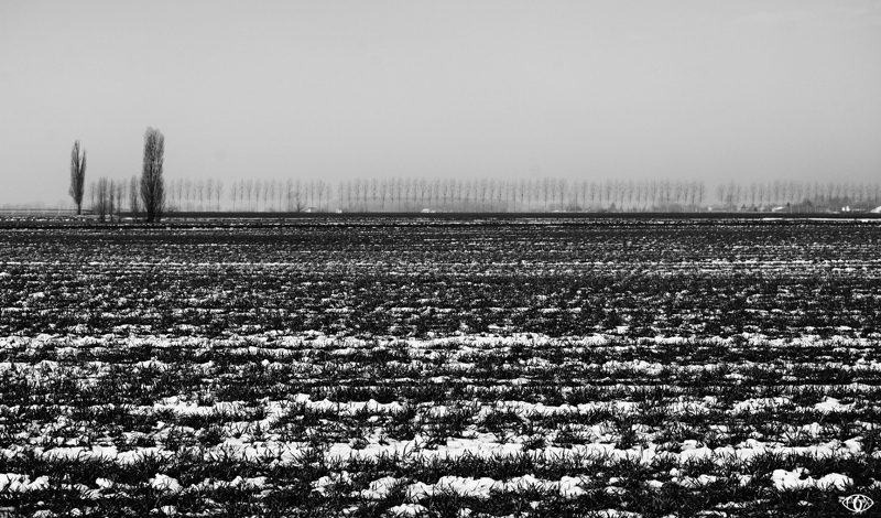DSC_5871.jpg