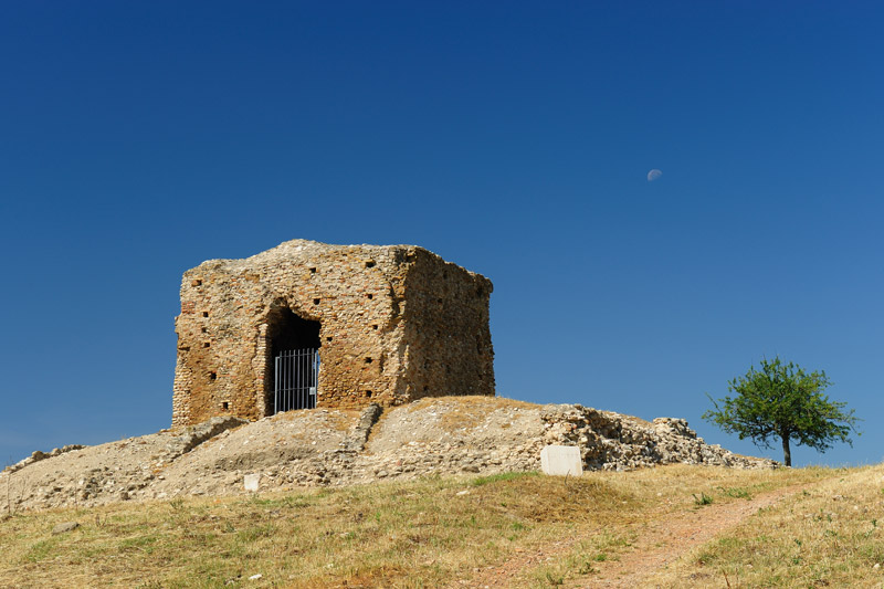 DSC_5872a.jpg