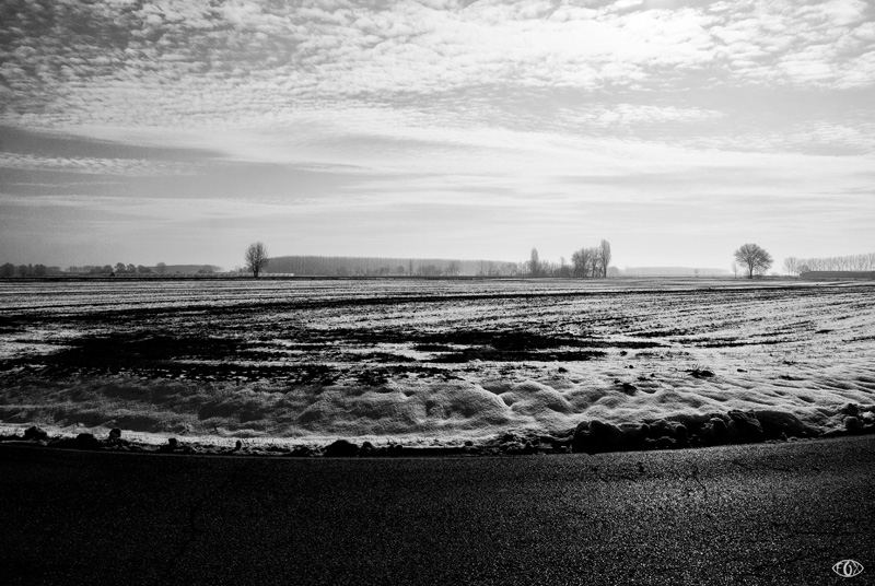 DSC_5874.jpg