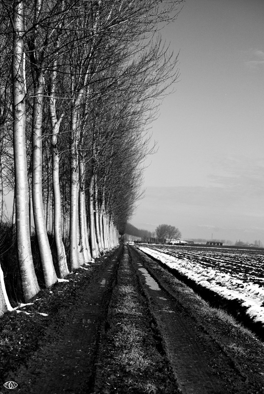 DSC_5877.jpg