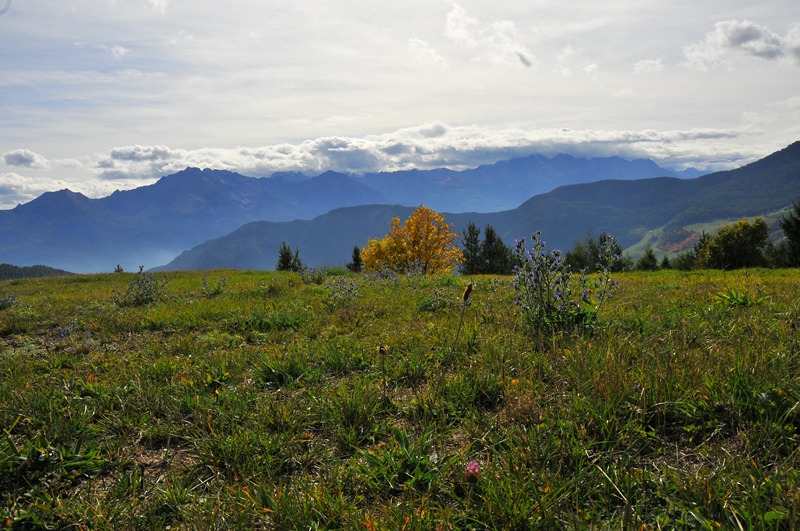 DSC_5878.JPG