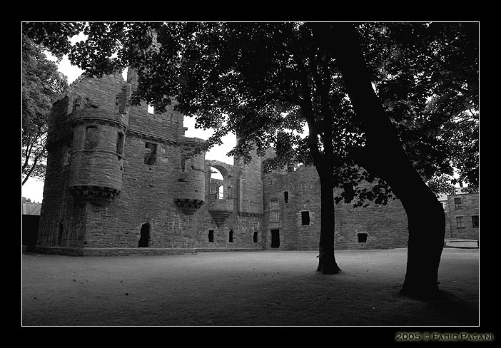 DSC_5885f.jpg