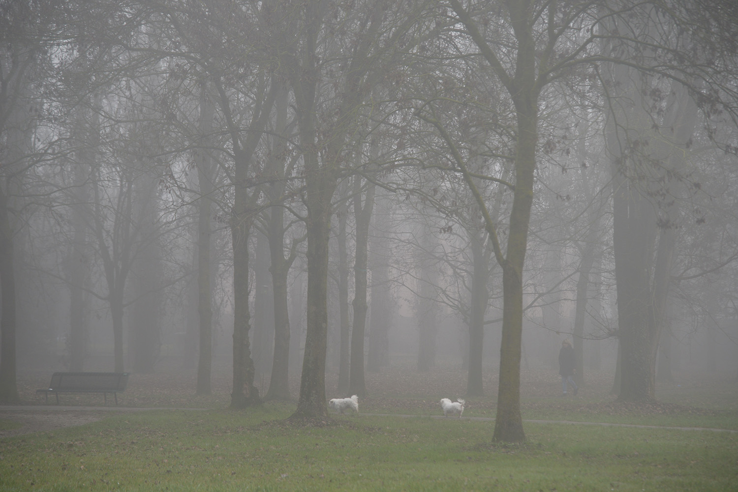 DSC_5891.jpg