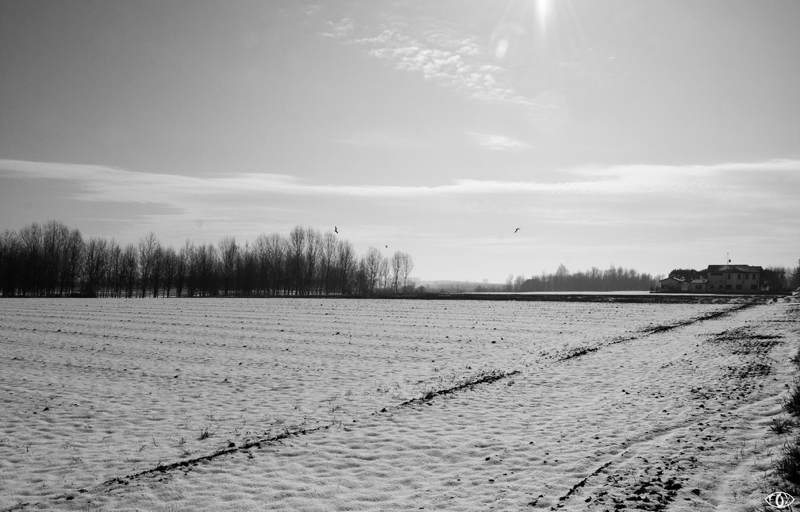 DSC_5906.jpg