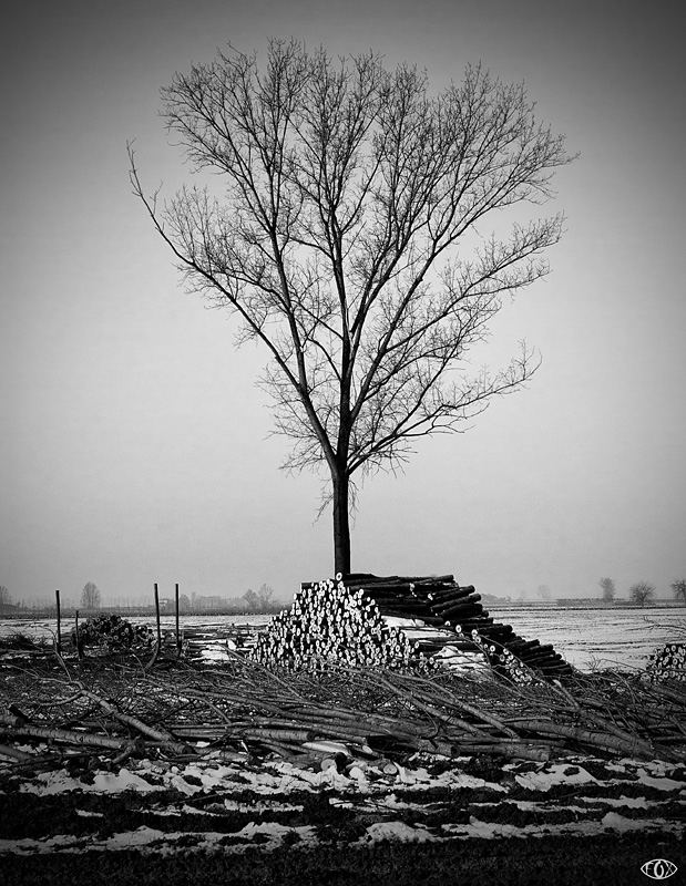DSC_5908.jpg