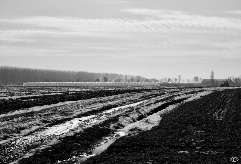 DSC_5913.jpg