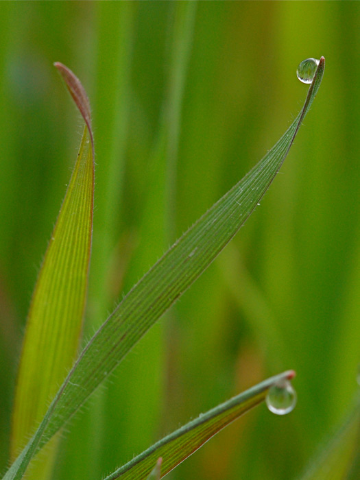 DSC_5946.jpg
