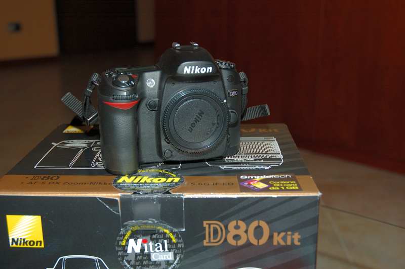 DSC_59570001.JPG