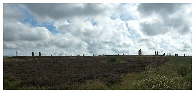 DSC_5988.jpg