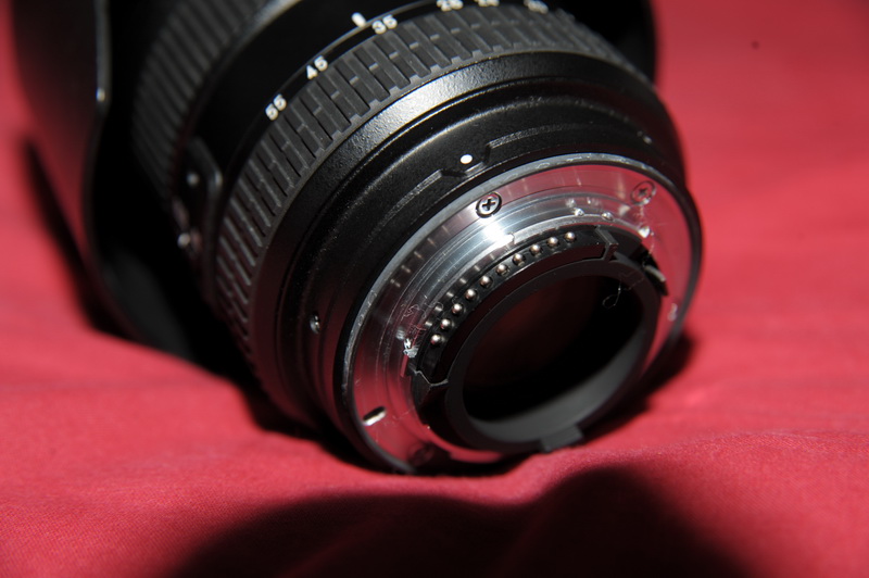 DSC_6007_resize.JPG