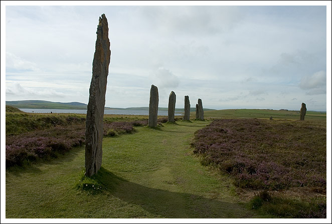 DSC_6011.jpg
