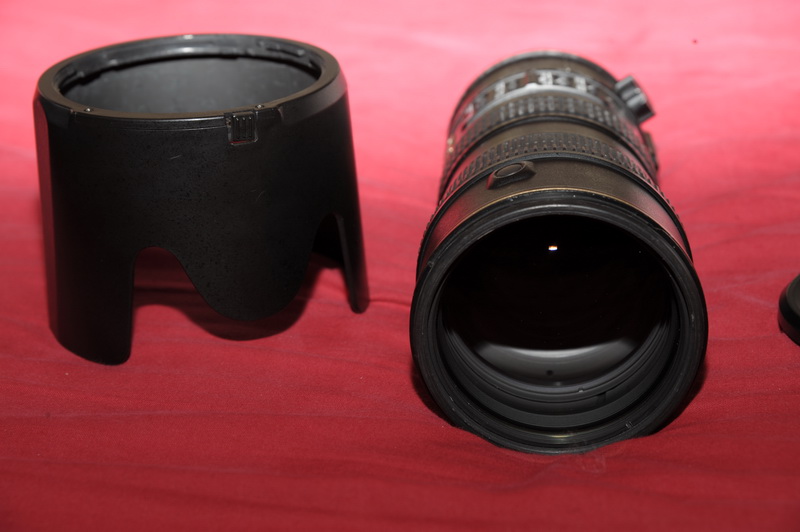 DSC_6034_resize.JPG