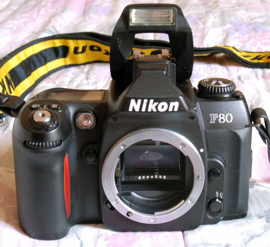 DSC_6042web.jpg