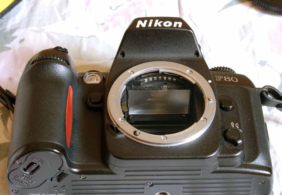 DSC_6044web.jpg