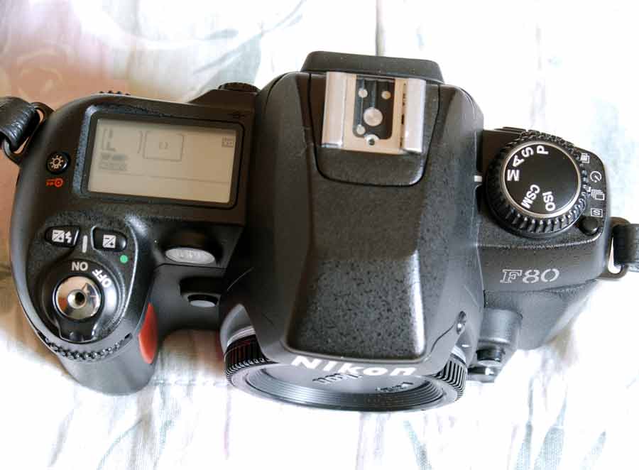 DSC_6045web.jpg