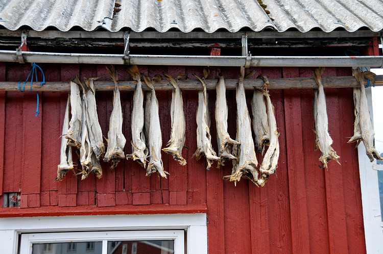 DSC_6048.jpg