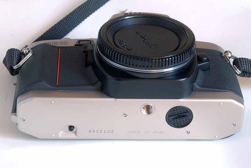 DSC_6060.jpg