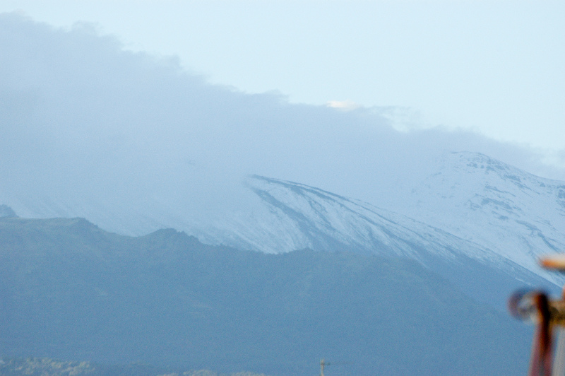 DSC_6110_resize.jpg