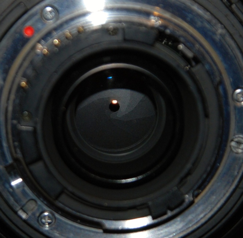 DSC_6139.JPG