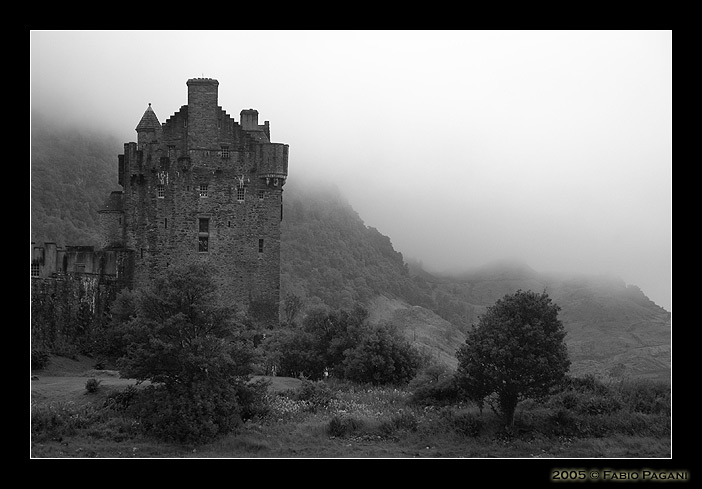 DSC_6139f.jpg