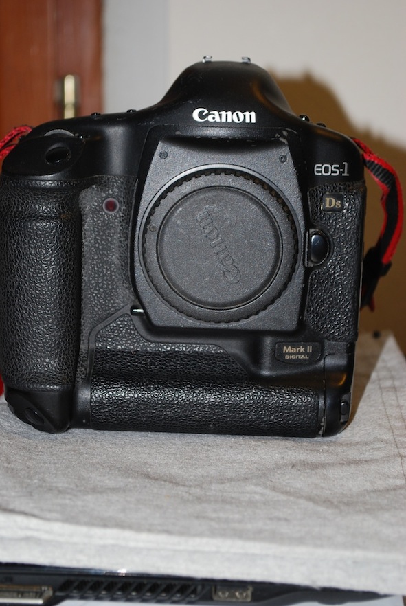 DSC_6278.JPG