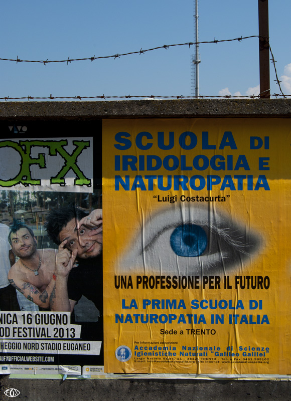 DSC_6383.JPG