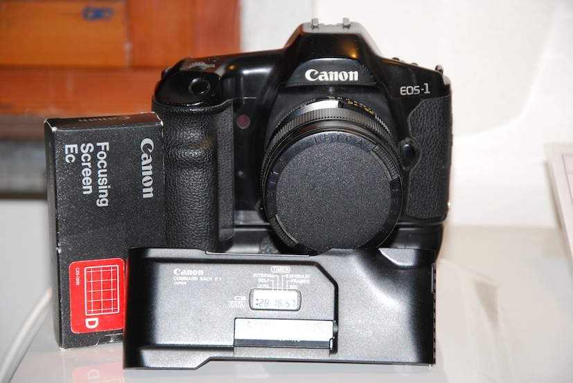 DSC_6520.JPG