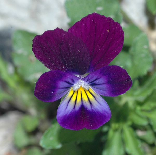 DSC_6573.JPG