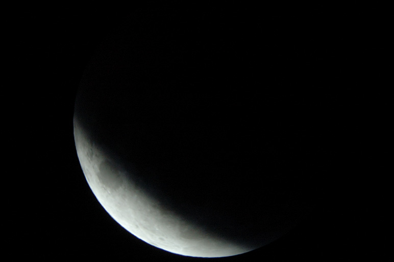 DSC_66402.jpg