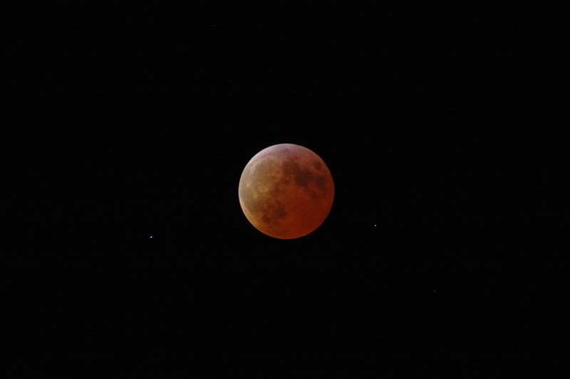 DSC_6666.jpg