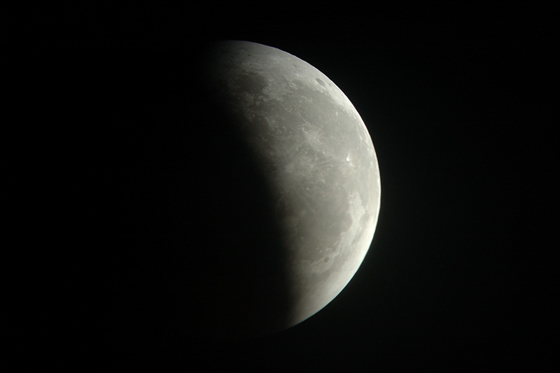 DSC_6698.jpg