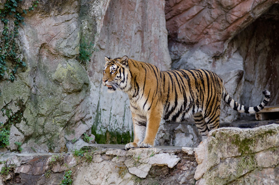 DSC_6754.jpg