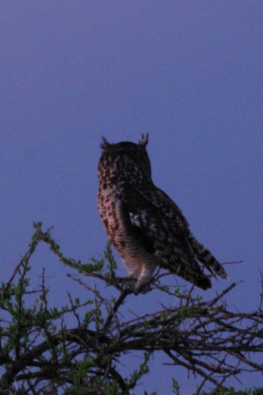DSC_6756.jpg