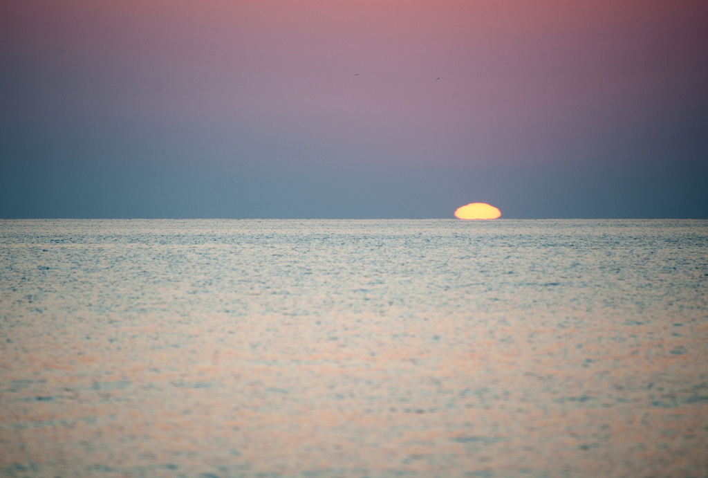 DSC_6775_II.jpg