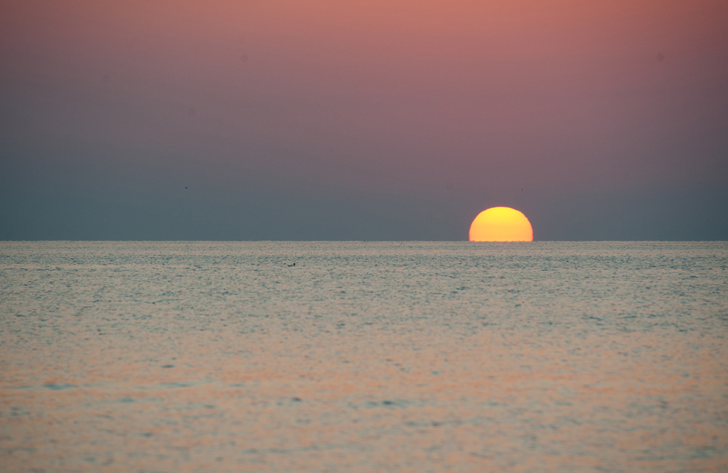 DSC_6780_II.jpg