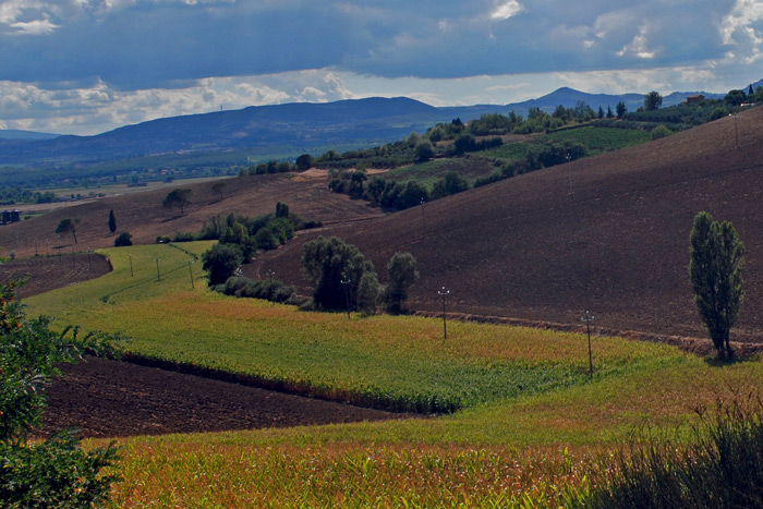 DSC_6794_bis.jpg