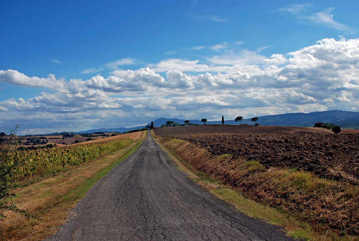DSC_6799_2.jpg