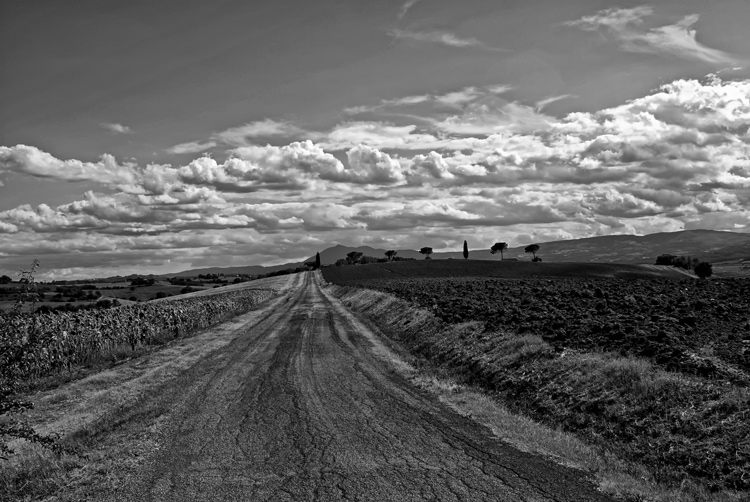 DSC_6799_bn.jpg