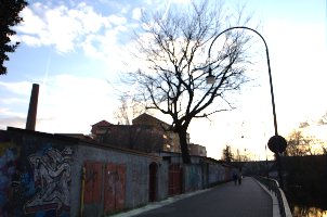 DSC_6854.jpg