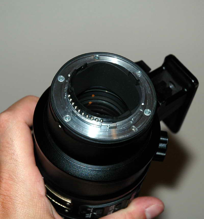 DSC_6894.jpg