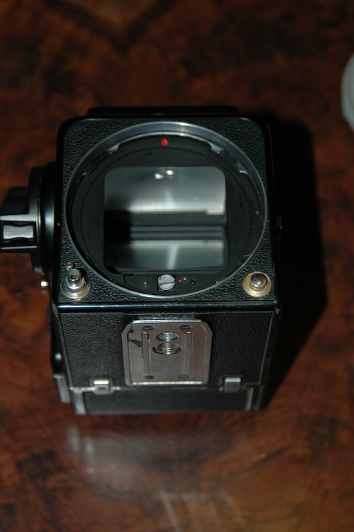 DSC_7092.JPG