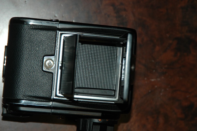 DSC_7099.JPG