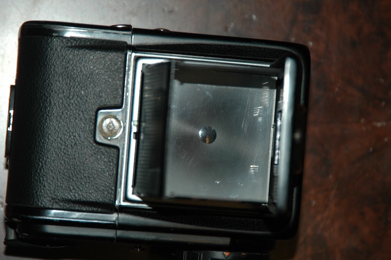 DSC_7100.JPG