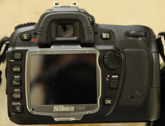 DSC_7192.jpg