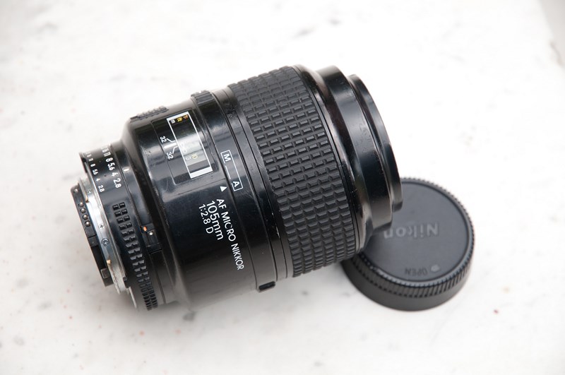 DSC_7211 (Copia).jpg