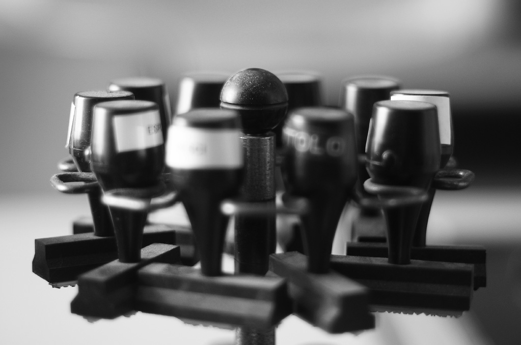 DSC_7391bw.jpg