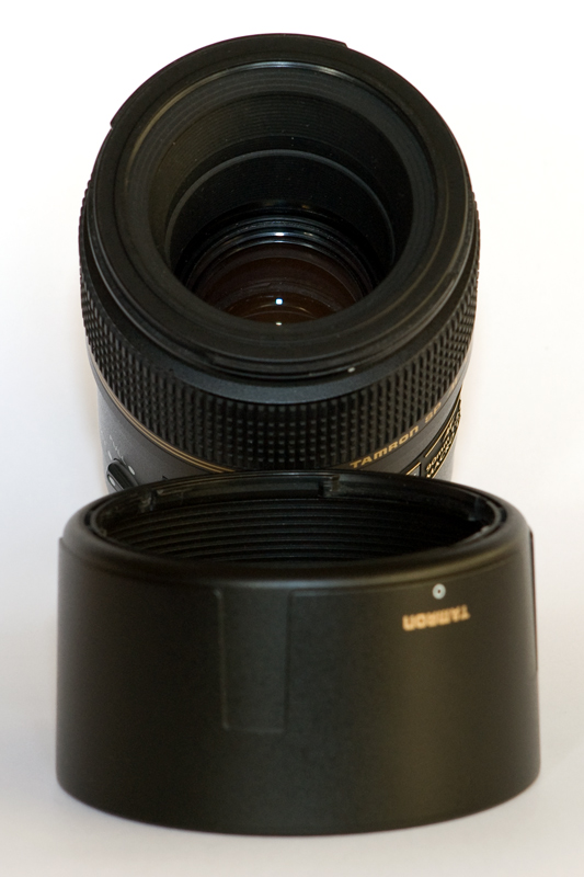 DSC_7401.jpg
