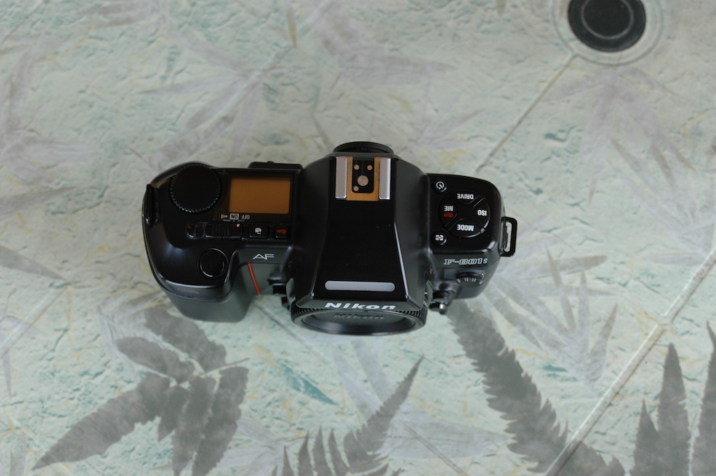 DSC_7427.JPG