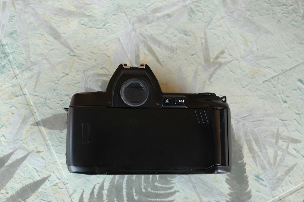 DSC_7429.JPG
